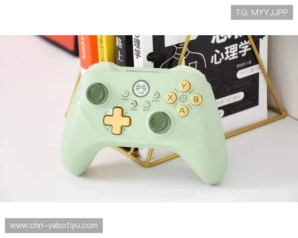 亚博开云游戏体验优化方案分析提升玩家沉浸感与操作流畅度