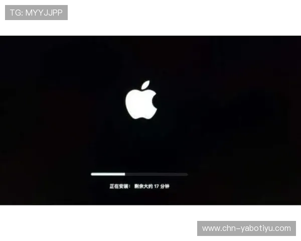 苹果用户必看！yb体育app苹果版下载安装流程详解及常见问题解决方案